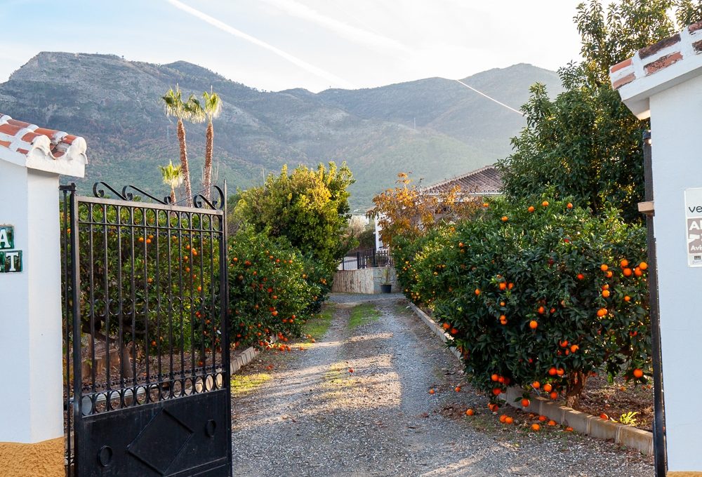 casa-tybet-101-IMG_6133